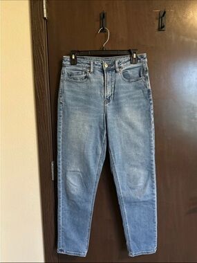 American Eagle Outfitters Light Blue Denim Jeans